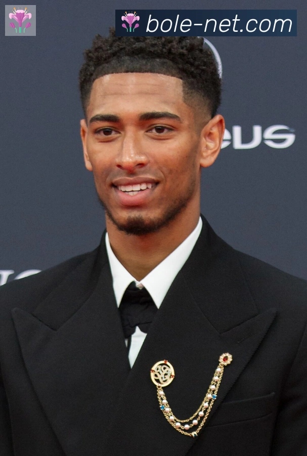 维尼修斯